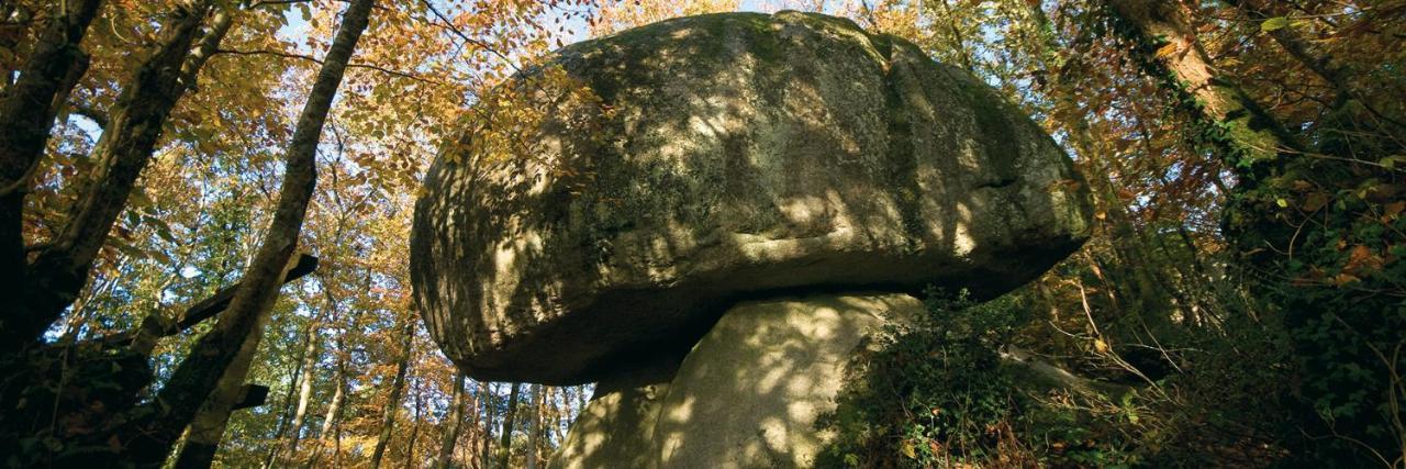 Chambre D'Hotes De La Roche Tremblante Huelgoat Exterior foto